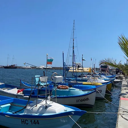 Royal Palm 84 Apartament *