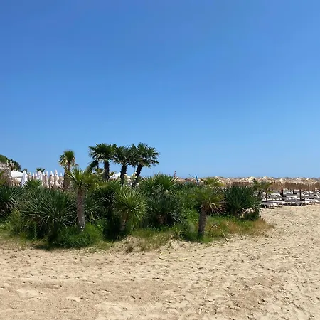 Apartament Royal Palm 84 Święty Włas